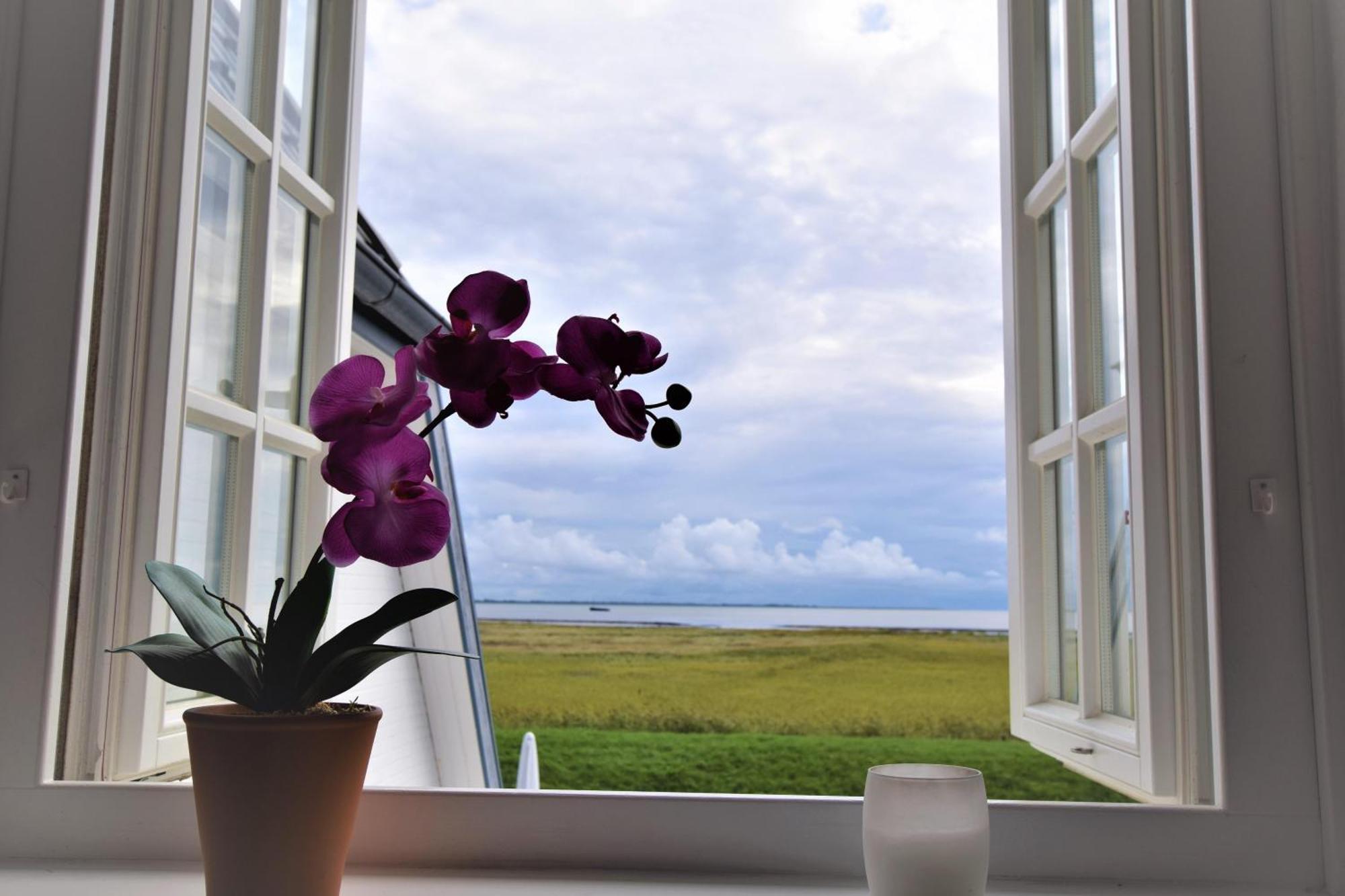 Apartment Warfthues, App 7 Rantum (Sylt)